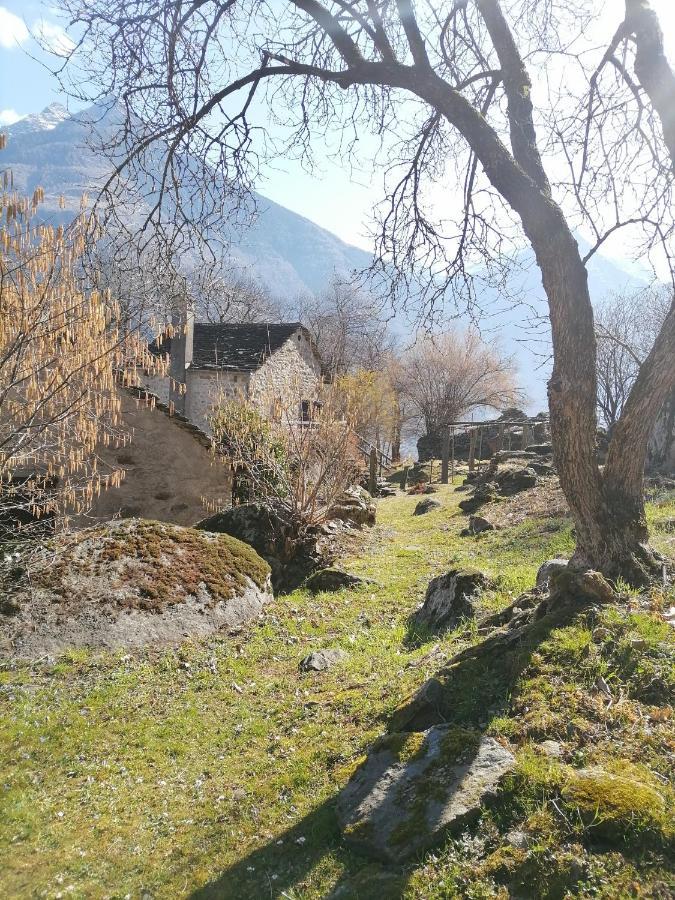 Casa Belgeri - Bed & Breakfast Dongio Eksteriør bilde